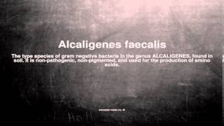 Medical vocabulary What does Alcaligenes faecalis mean [upl. by Anaizit]