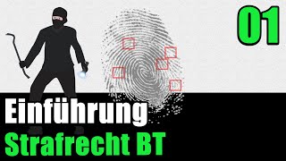 Strafrecht BT 01  Einführung [upl. by Alfonse745]