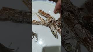 CUTLASS FISH  DIWIT recipe fish food [upl. by Najram]