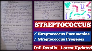 Streptococcus  streptococcus Pyogenes  streptococcus pneumoniae [upl. by Ahsino]