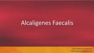 Pronunciation of the words quotAlcaligenes Faecalisquot [upl. by Cas873]